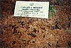 Carlos Lester Moody (1922-1967) gravestone at Bermuda Cemetery, Dillon Co. SC. <br>Source: Jane Mood