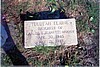 Tululah Elaine Moody (1945-1945) gravestone at Bermuda Cemetery, Dillon Co. SC. <br>Source: Jane Moo