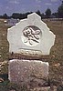 Celia Barfield Rogers (180?-1872) gravestone at Fork Baptist Church Cemetery, Dillon County, South C