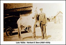 Dew-Herbert-C.jpg